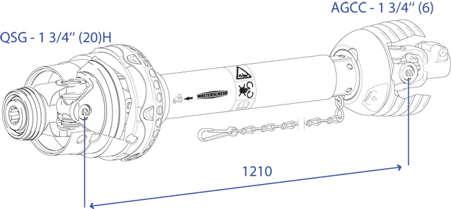 Disegno 1113424